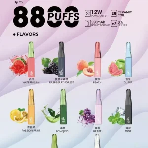 CHILL 8800 口拋棄式電子煙